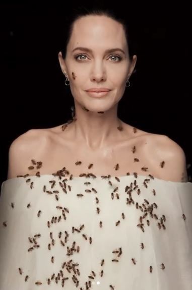 Imaginile cu Angelina Jolie care fac inconjurul lumii! S-a acoperit de albine dupa ce a stat trei zile fara sa se spele! Care a fost motivul_7