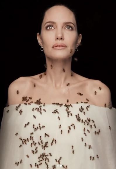 Imaginile cu Angelina Jolie care fac inconjurul lumii! S-a acoperit de albine dupa ce a stat trei zile fara sa se spele! Care a fost motivul_8
