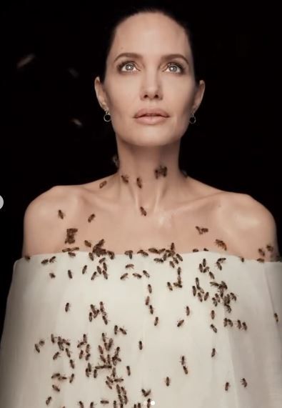Imaginile cu Angelina Jolie care fac inconjurul lumii! S-a acoperit de albine dupa ce a stat trei zile fara sa se spele! Care a fost motivul_9