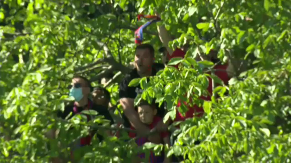 Imagini fabuloase de la meciul Stelei! Suporterii s-au urcat in copaci pentru a vedea meciul! Cum au putut sa reactioneze la gol _1