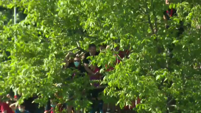 Imagini fabuloase de la meciul Stelei! Suporterii s-au urcat in copaci pentru a vedea meciul! Cum au putut sa reactioneze la gol _5
