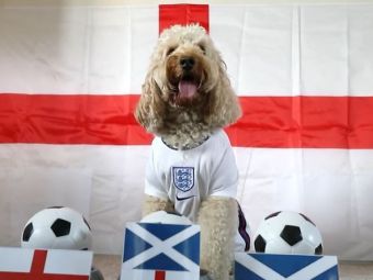 
	Catelusa prezicatoare anunta ca Anglia va &quot;musca&quot; din Scotia in derby-ul zilei la Euro
