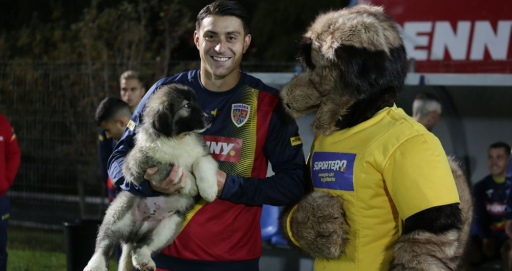 PENNY a lansat mascota SuporteRO, care susține Echipa Națională de Fotbal a României (P)_1