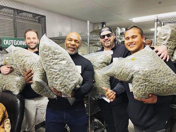 Snoop Dogg ar fi invidios! Mike Tyson, fotografie virală cu un sac imens de marijuana! Câștig de peste 500 de mii de euro pe lună_11