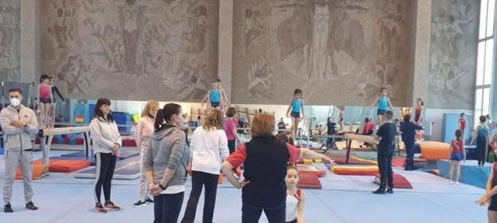 cerere donatii Adrian Stoica Federatia Romana de Gimnastica gimnastica opinie gabriel chirea