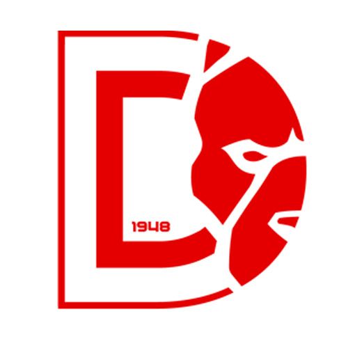 New Dinamo! Cum arată cele cinci variante de logo pentru clubul din Ștefan cel Mare_2