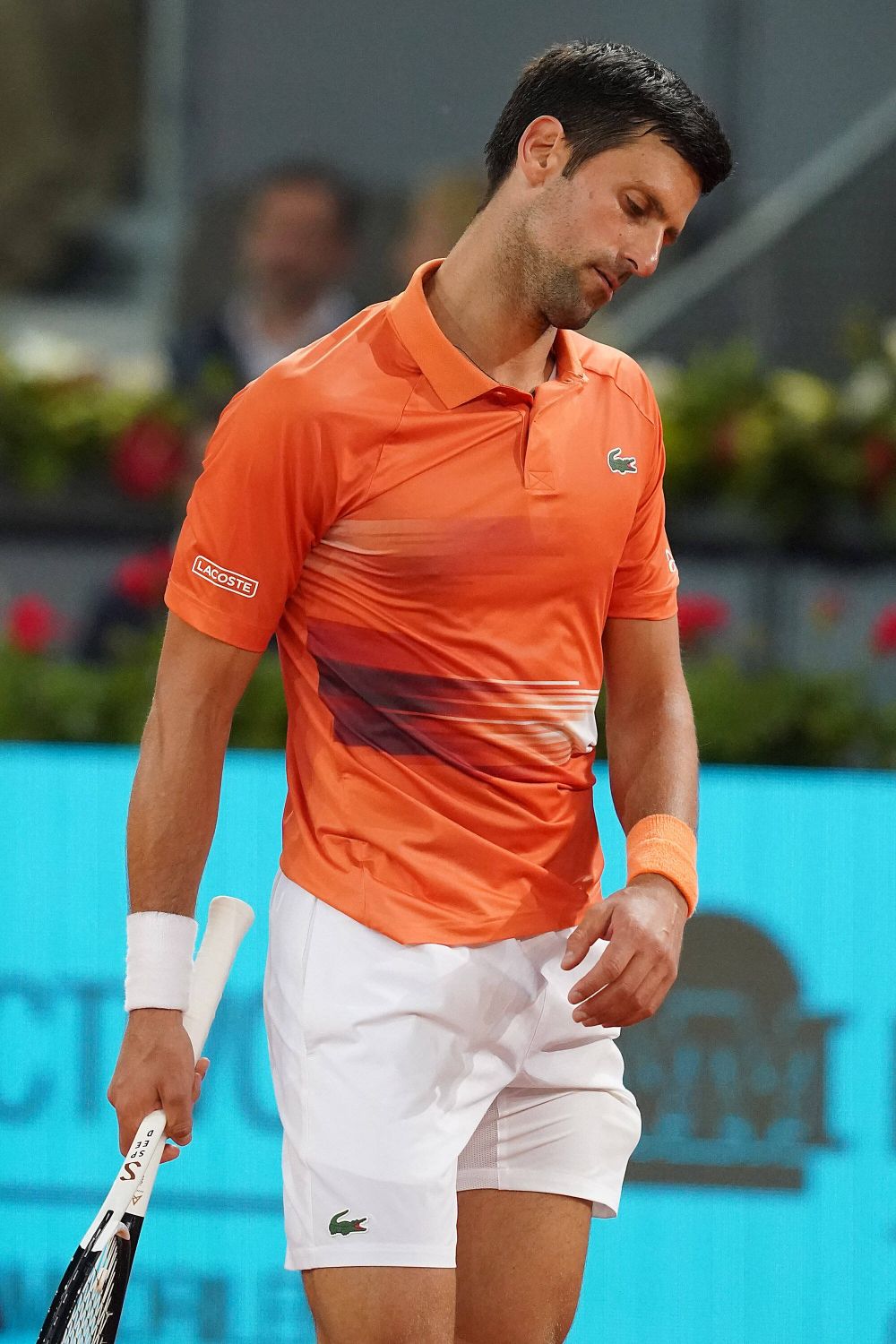 Novak Djokovic, ajuns la 1000 de victorii în tenisul profesionist: Tsitsipas - Djokovic, finala din capitala Italiei_11