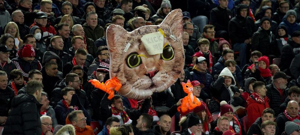 Kurt Zouma Pisica West Ham