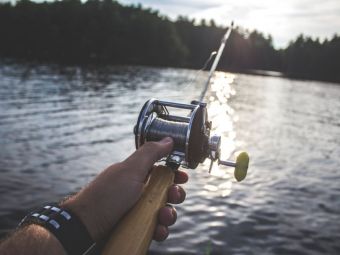 
	(P) 5 articole de pescuit esențiale pentru începători
