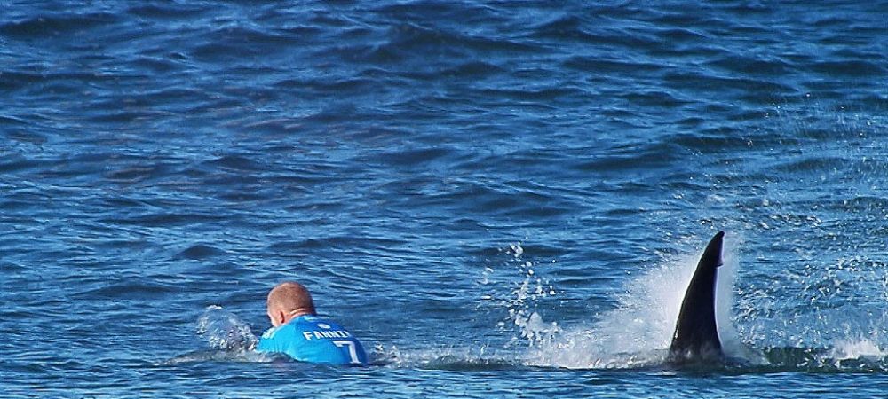 Mick Fanning Atacat de rechin Surfer atacat Surfer Australian