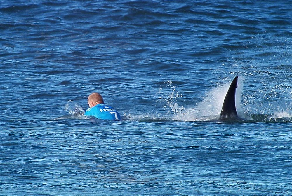 A scăpat ca prin urechile acului de un rechin! Reacția surferului după teribilul accident: "Loveam cu picioarele și strigam"_3