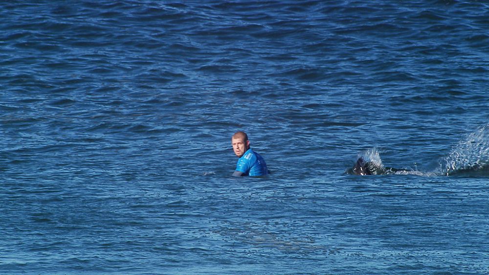 A scăpat ca prin urechile acului de un rechin! Reacția surferului după teribilul accident: "Loveam cu picioarele și strigam"_2