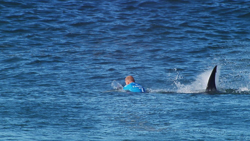 A scăpat ca prin urechile acului de un rechin! Reacția surferului după teribilul accident: "Loveam cu picioarele și strigam"_11