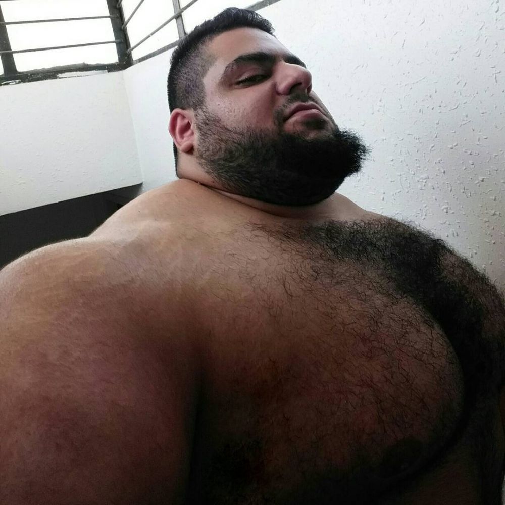 „Hulk din Iran”, făcut praf de iranieni după ce a fost umilit în ring: „Fake Hulk! A făcut de râs o țară întreagă!” _16