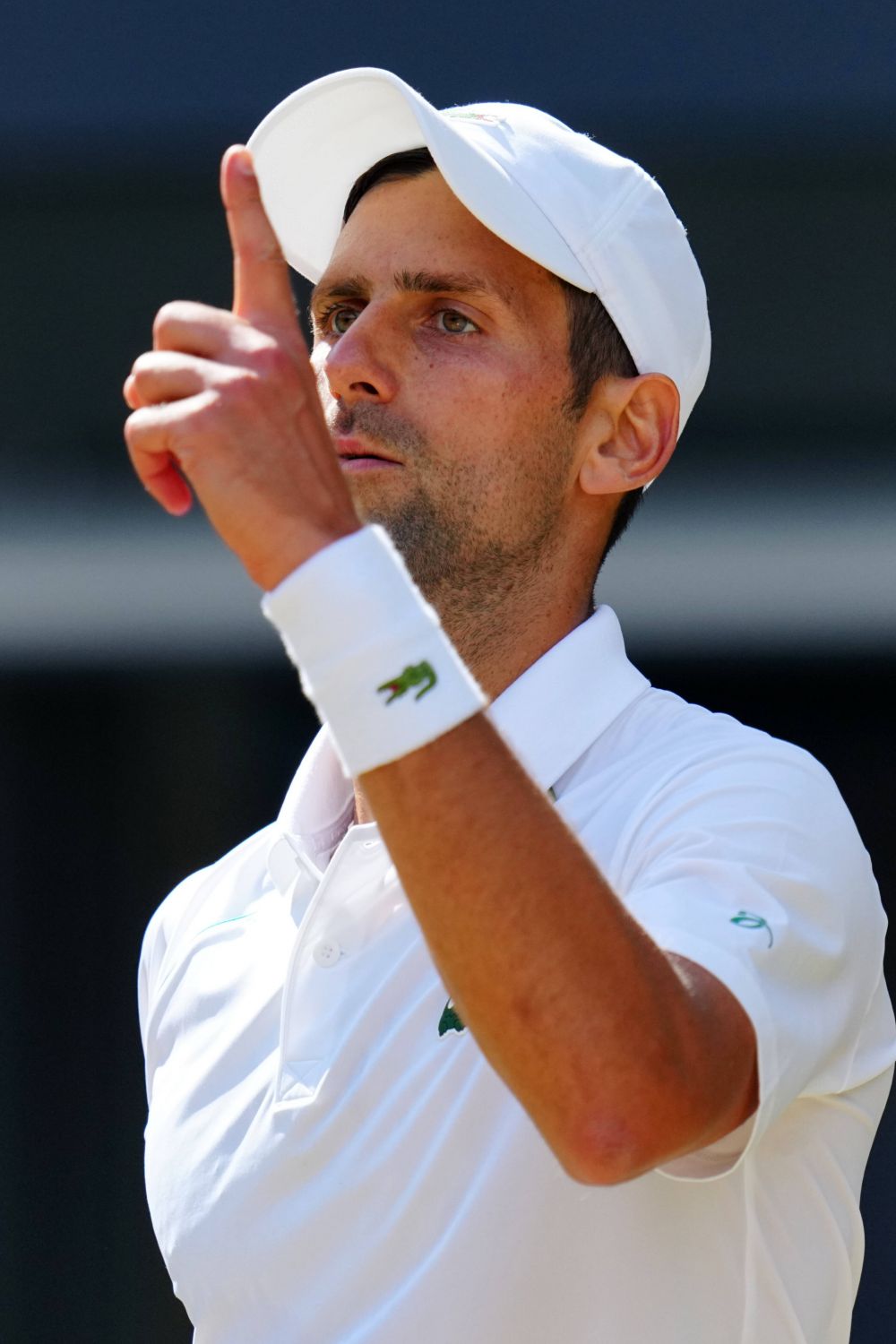 Novak Djokovic, la Australian Open. Ce a cerut directorul primului turneu de Grand Slam din 2023_3