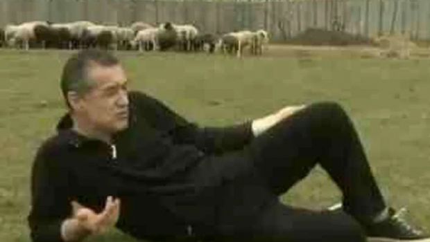
	Gigi Becali a rămas fără trei oi! Cum au reușit hoții să captureze ovinele aflate la pășunat
