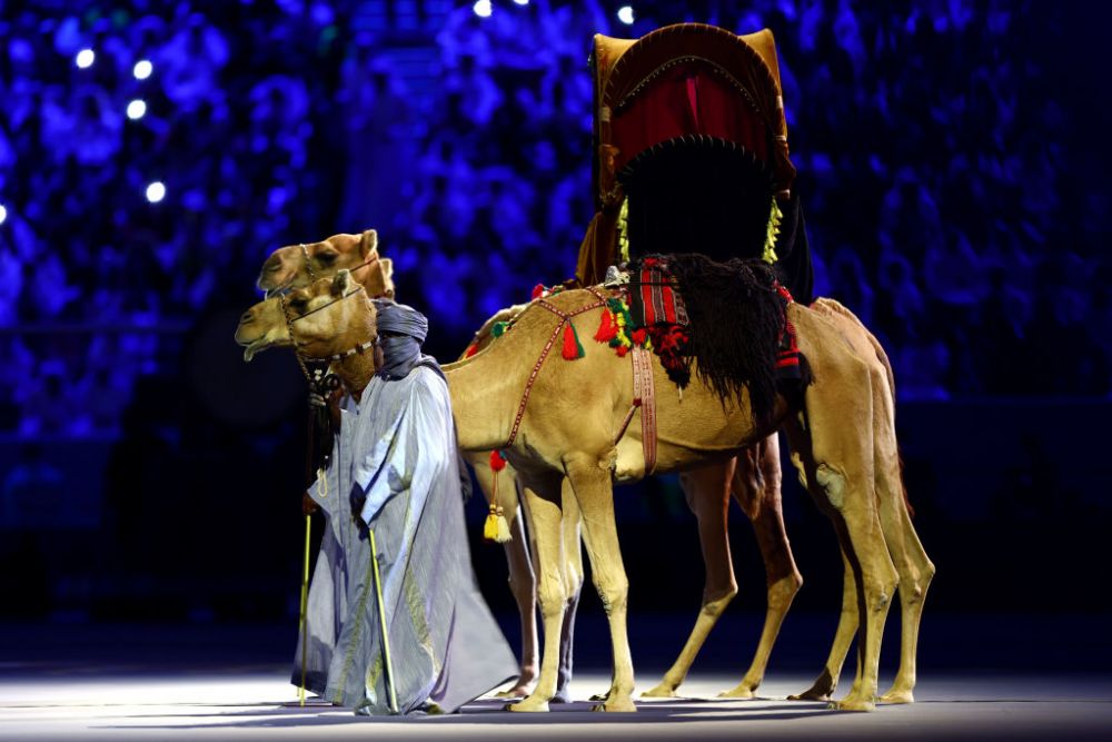 Imagini spectaculoase de la festivitatea de deschidere a Campionatului Mondial din Qatar. Poveste în culori_5