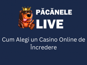 
	(P) Cum Alegi un Casino Online de Încredere
