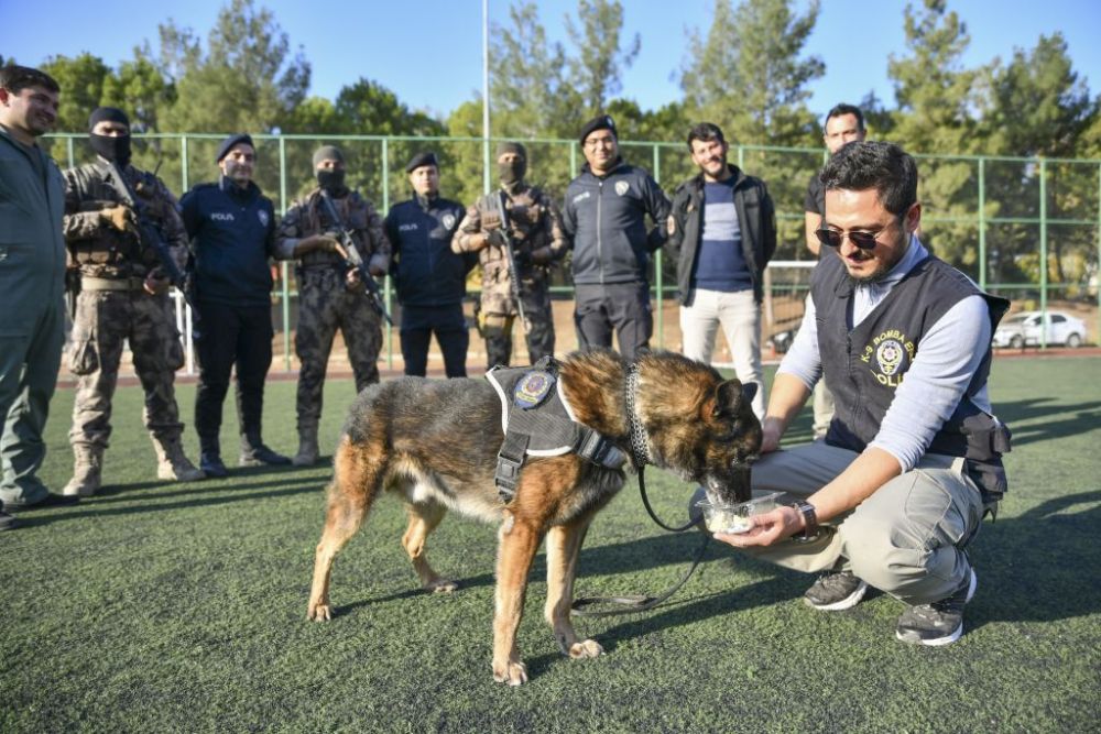 Emiliano Martinez a sărbătorit câștigarea Campionatului Mondial cu un câine de 23.000 de euro! Cum arată „bestia”_3
