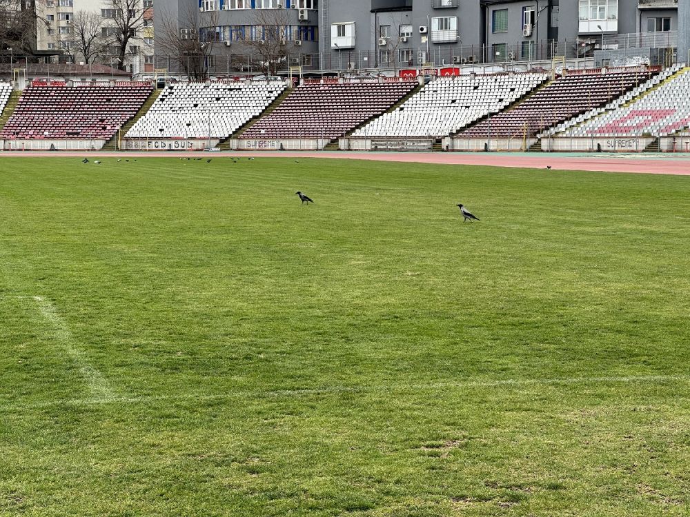 Stadionul Dinamo devine "Groapă" de gunoi! Cum arată acum arena_18