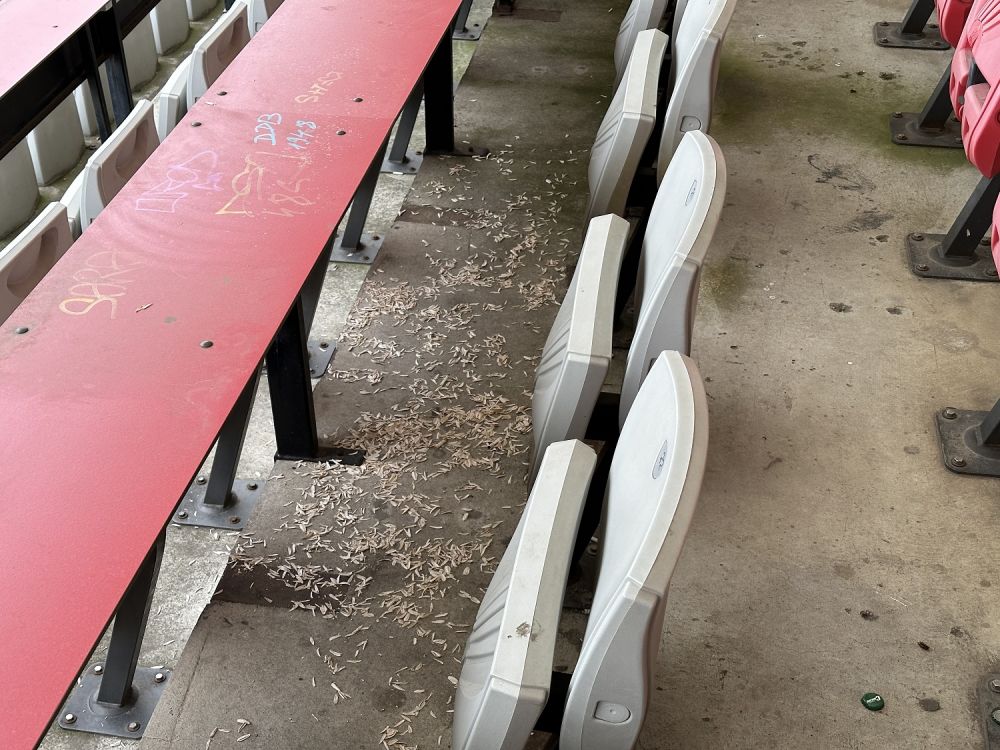 Stadionul Dinamo devine "Groapă" de gunoi! Cum arată acum arena_3