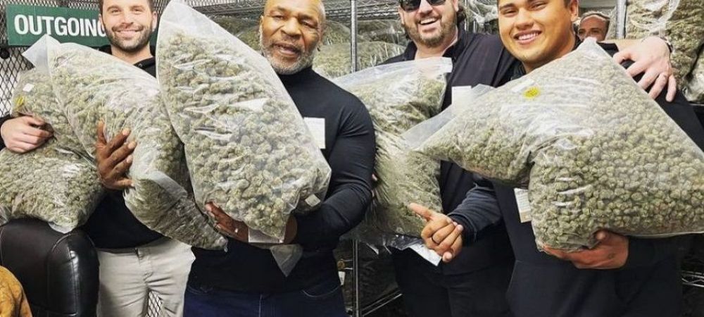 Mike Tyson Box canabis droguri
