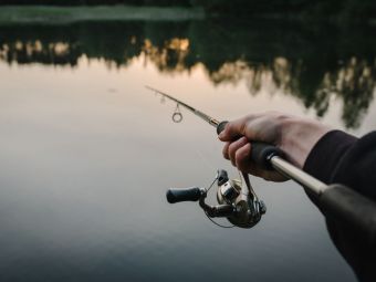(P) Cum să alegi o lansetă potrivită pentru pescuitul la răpitori