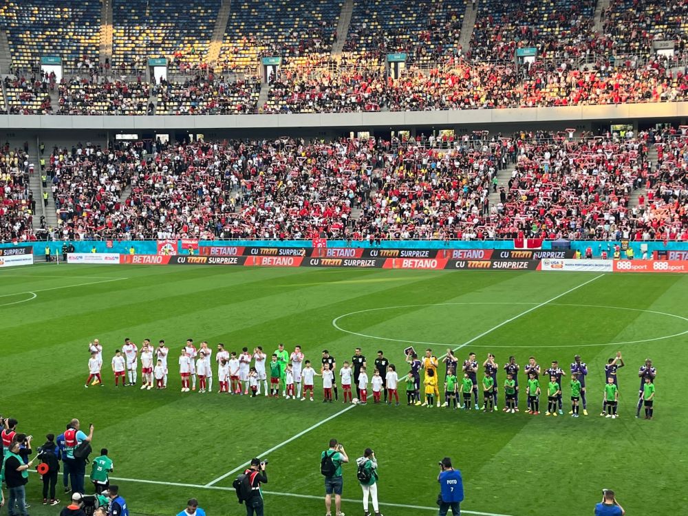 Atmosferă nebună la Dinamo - FC Argeș! Fanii dinamoviști au făcut spectacol total pe Arena Națională_3