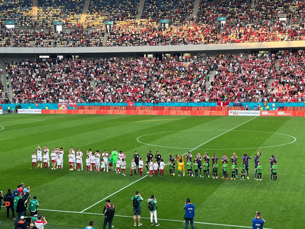 Atmosferă nebună la Dinamo - FC Argeș! Fanii dinamoviști au făcut spectacol total pe Arena Națională_4