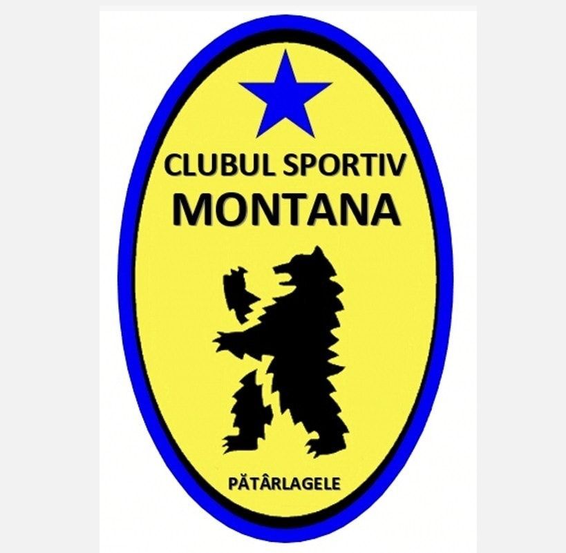 Copy-paste! Echipele românești care au copiat emblemele unor cluburi celebre din străinătate_1