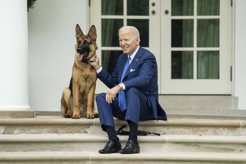 Îl vrei la Dinamo? Câinele lui Joe Biden a mușcat pentru a 11-a oară un agent Secret Service de la Casa Albă!_11