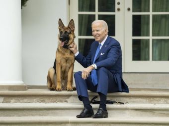 
	Îl vrei la Dinamo? Câinele lui Joe Biden a mușcat pentru a 11-a oară un agent Secret Service de la Casa Albă!
