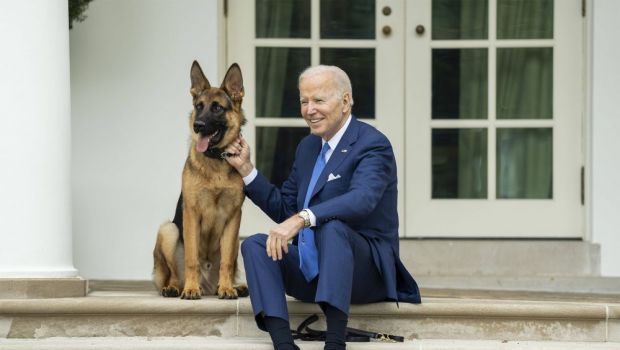 
	Îl vrei la Dinamo? Câinele lui Joe Biden a mușcat pentru a 11-a oară un agent Secret Service de la Casa Albă!
