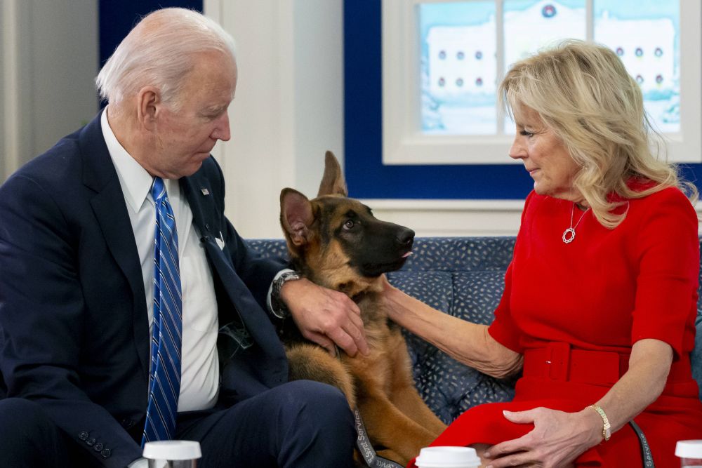 Îl vrei la Dinamo? Câinele lui Joe Biden a mușcat pentru a 11-a oară un agent Secret Service de la Casa Albă!_3