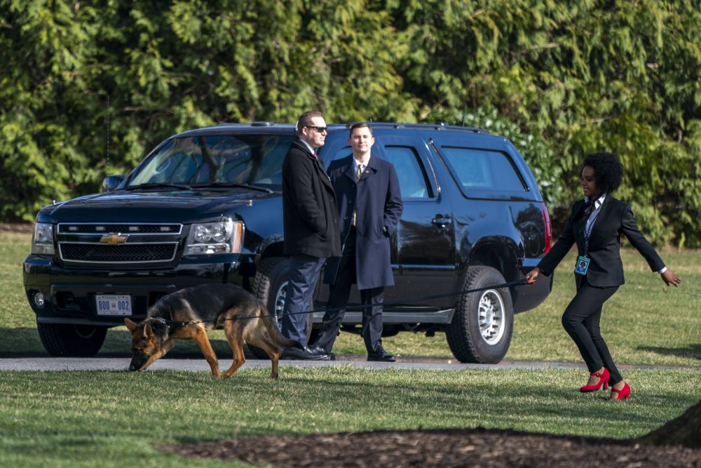 Îl vrei la Dinamo? Câinele lui Joe Biden a mușcat pentru a 11-a oară un agent Secret Service de la Casa Albă!_5