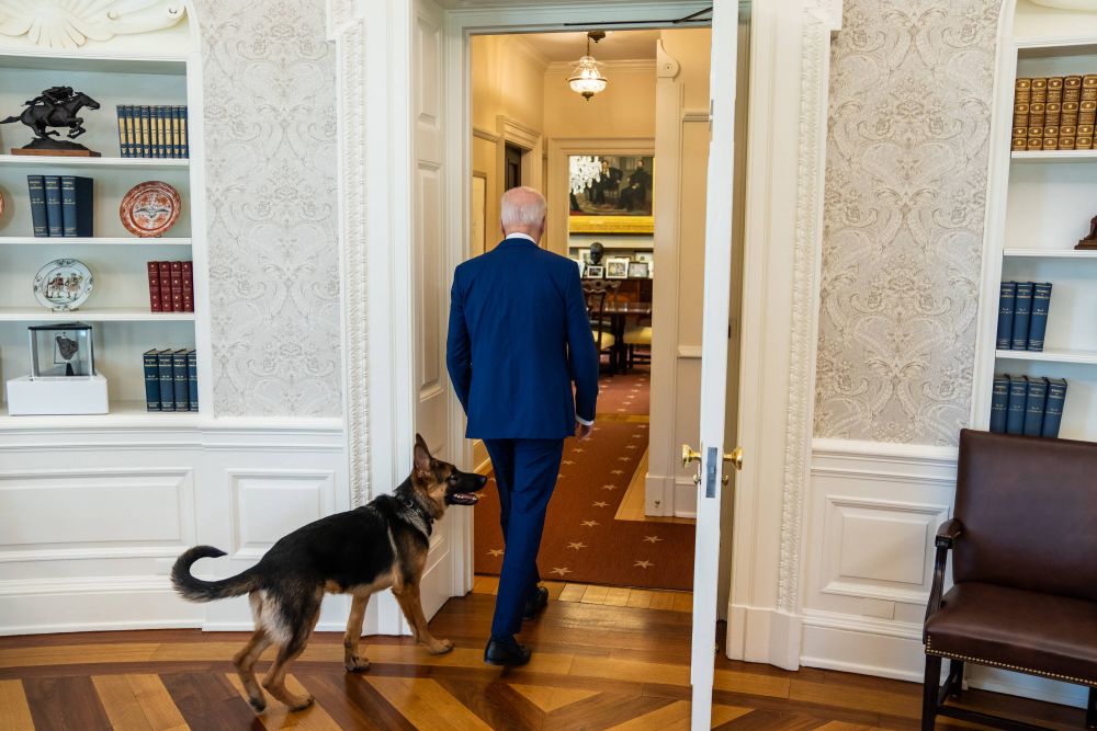Îl vrei la Dinamo? Câinele lui Joe Biden a mușcat pentru a 11-a oară un agent Secret Service de la Casa Albă!_7