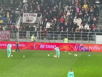 
	Suporterii Rapidului au aruncat cu jucării în teren, la meciul cu CFR Cluj, de Sf. Nicolae
