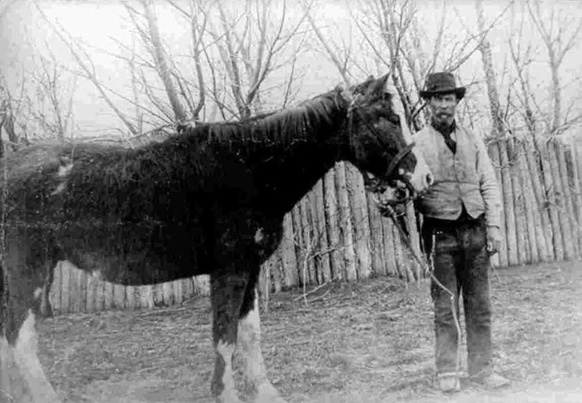 Cătălin Oprișan, din șa, povestește despre calul Malacara, ce a luat Patagonia de la Chile și i-a dat-o Argentinei. ”Îi omorâseră pe toți. Malacara m-a salvat!”_1