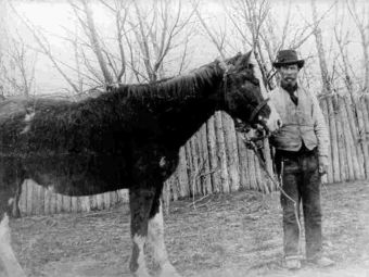 
	Cătălin Oprișan, din șa, povestește despre calul Malacara, ce a luat Patagonia de la Chile și i-a dat-o Argentinei. &rdquo;Îi omorâseră pe toți. Malacara m-a salvat!&rdquo;
