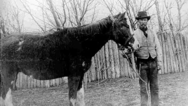 
	Cătălin Oprișan, din șa, povestește despre calul Malacara, ce a luat Patagonia de la Chile și i-a dat-o Argentinei. &rdquo;Îi omorâseră pe toți. Malacara m-a salvat!&rdquo;
