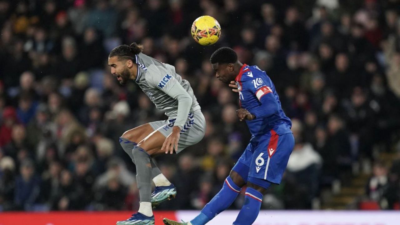 Crystal Palace Everton Roy Hodgson sean dyche