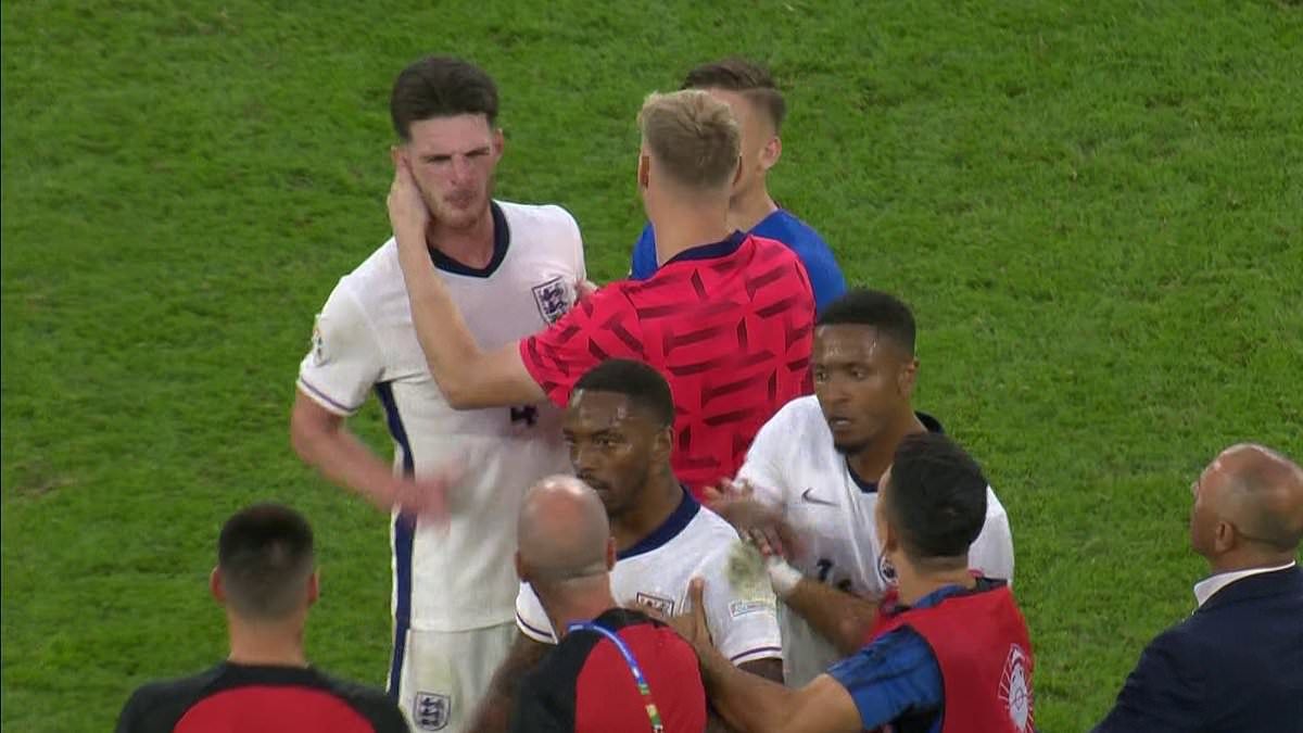 Scene uluitoare la EURO 2024! Starul Angliei a sărit să îl bată pe selecționerul Slovaciei: ”Nemernic chelios!”_10