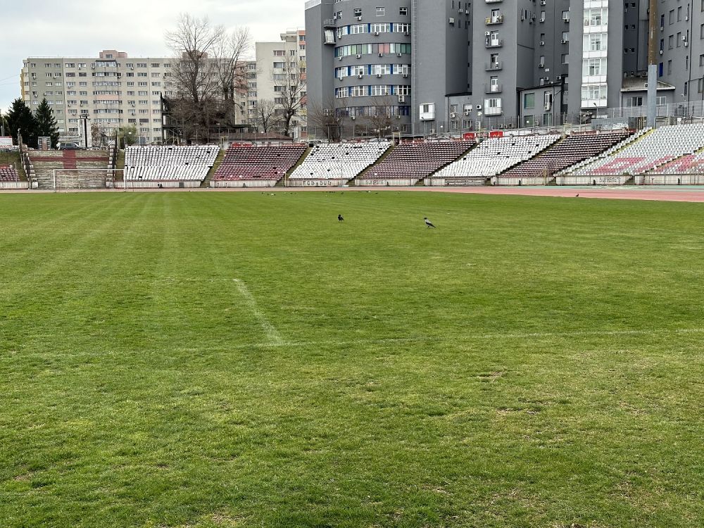 Lovitură grea pentru Dinamo. Când ar putea începe, în cel mai fericit caz, construcția noului stadion_3